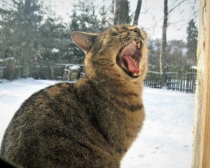 Pławna ferie 2011 044