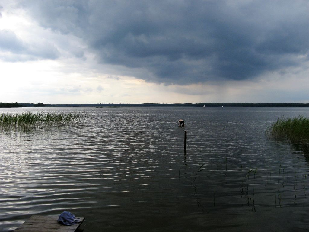 Przymuszewo 2011 108