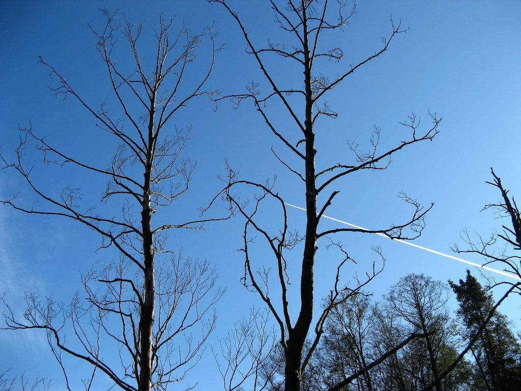 documnts and Setting Moje dokumenty zdjęcia 2015 WPK 2015 062