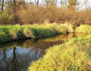 gł-jesień 2013 009