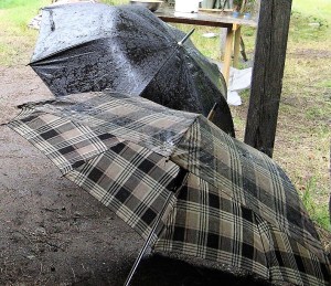 Przymuszewo 2011 129