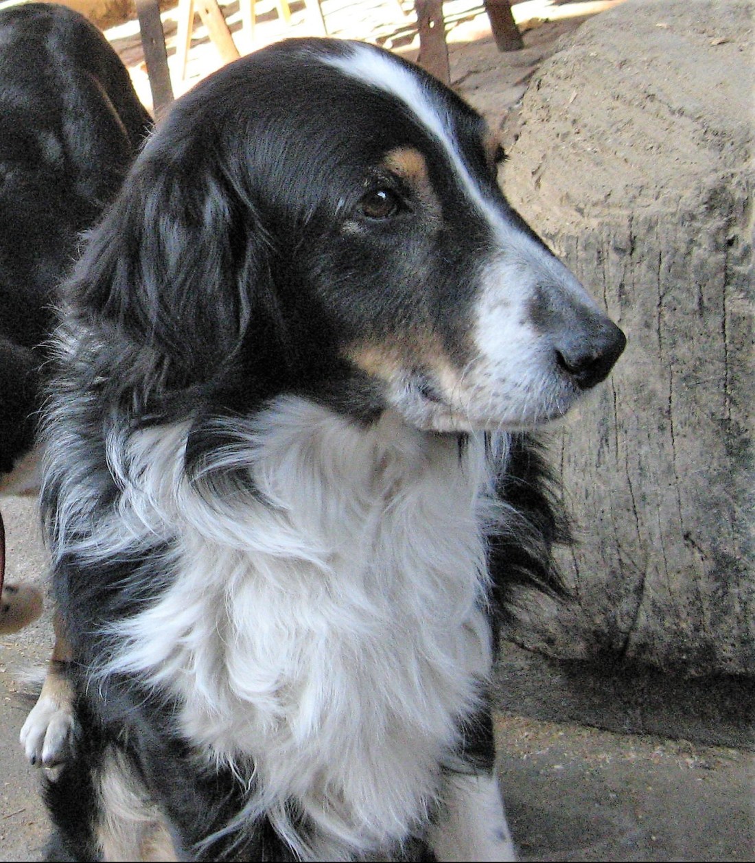 Pławna ferie 2011 069