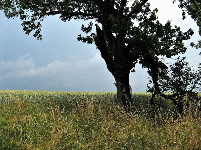 ,wiosna 2012,ferie,adam 050