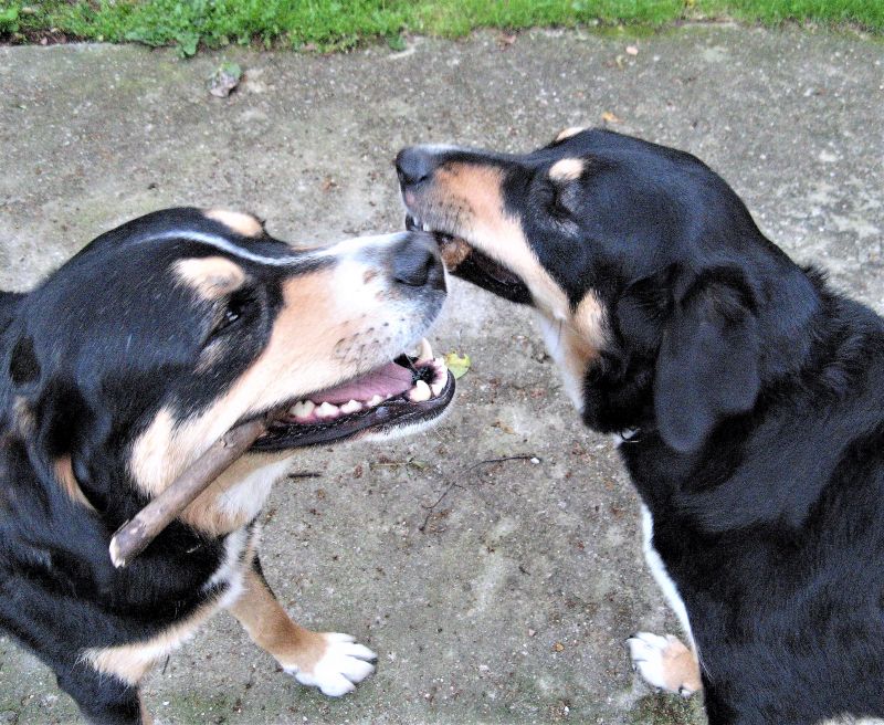 ,wiosna 2012,ferie,adam 152