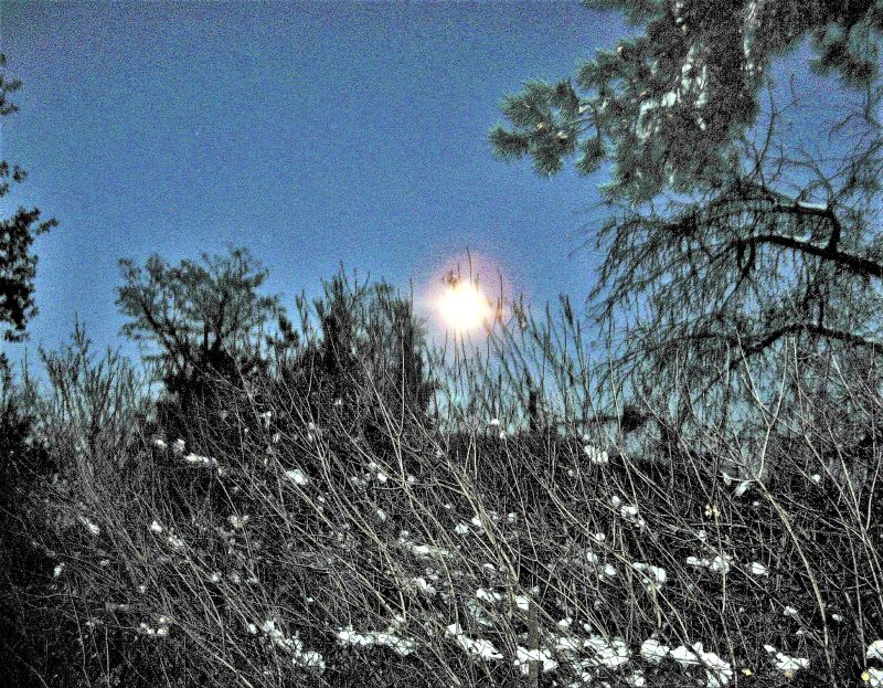 oj, noc idzie sylwestrowa