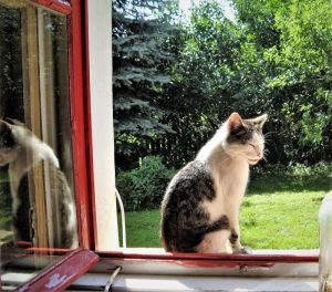 pławna lipiec 2011 063