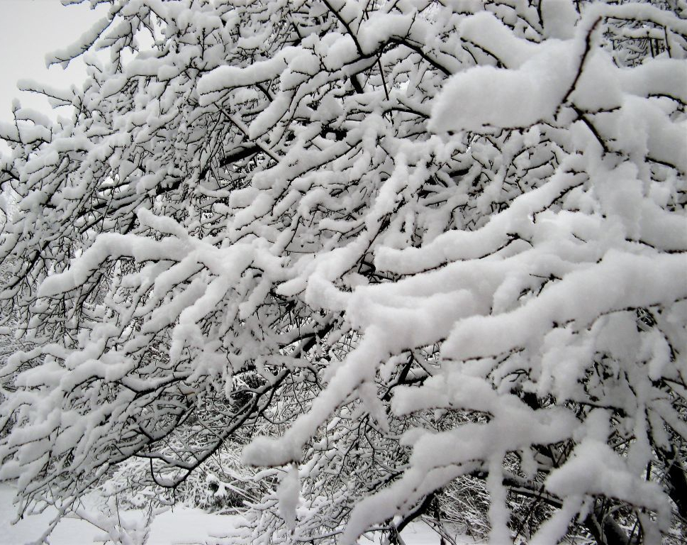 wigilia 2012 + ferie 2013 012