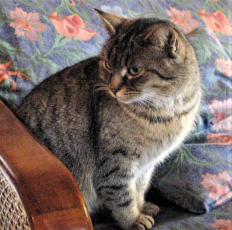 wigilia 2012 + ferie 2013 078