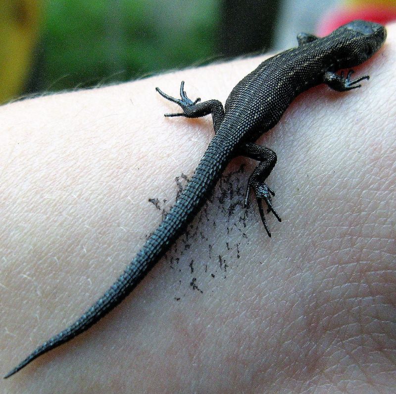 ,wiosna 2012,ferie,adam 074