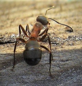 IMG_6435