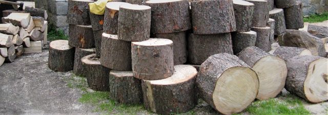 ObrazWIOSNA 2O13 075