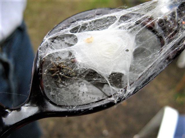 Przymuszewo 2011 075