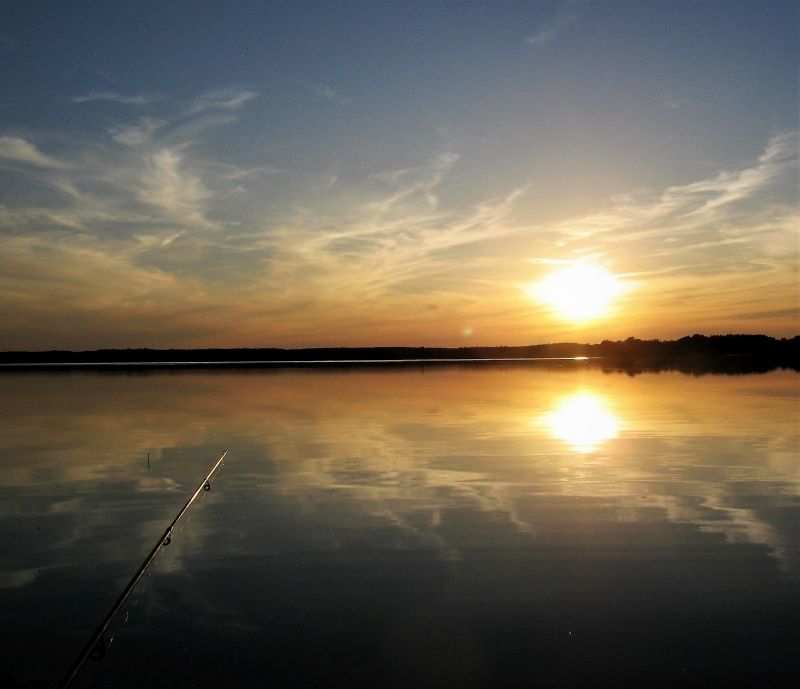 Przymuszewo 2015 132