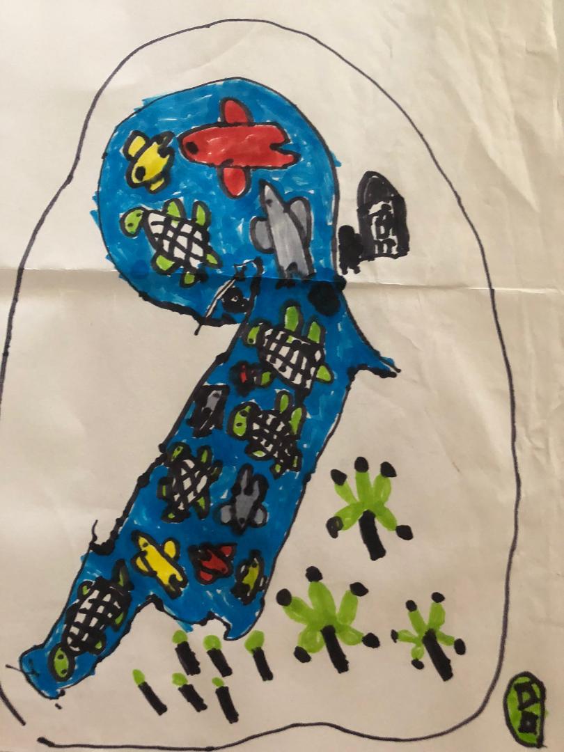 thumbnailKosma żółwie