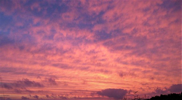 Przymuszewo 2011 023