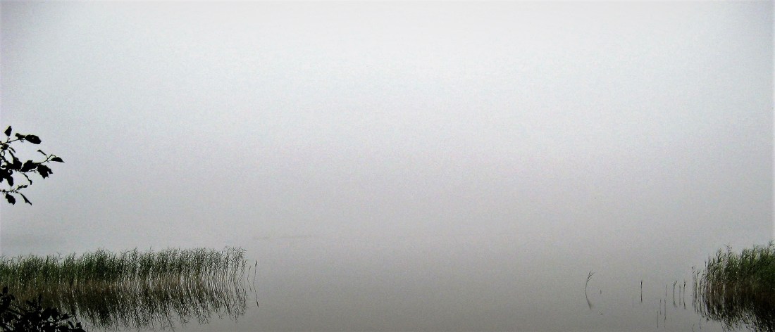 Przymuszewo 2011 132