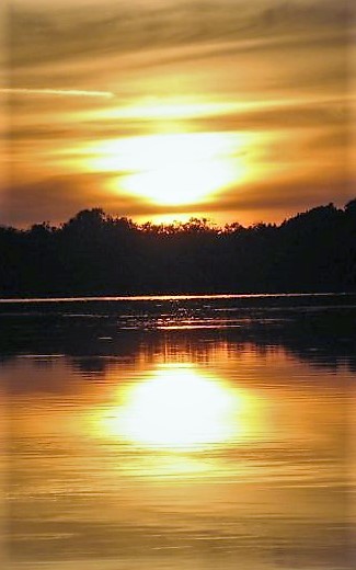 Przymuszewo 2015 137