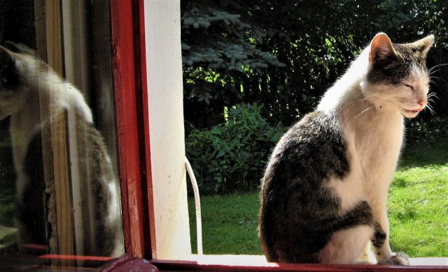 Pławna lipiec 2011 063