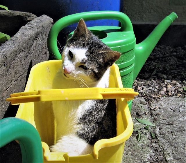 Pławna lipiec 2011 076