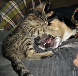 Pławna_09_08_Kry 084