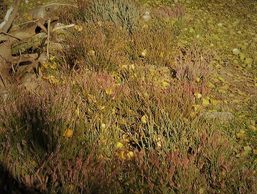 documnts and Setting Moje dokumenty zdjęcia 2015 WPK 2015 076