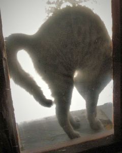 Pławna ferie 2011 031