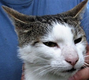 ,wiosna 2012,ferie,adam 141