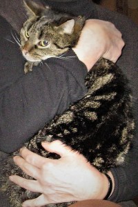 wigilia 2012 + ferie 2013 086