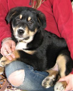 wiosna cd.2010 WK 019