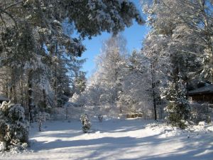 wiosna cd.2010 WK 052