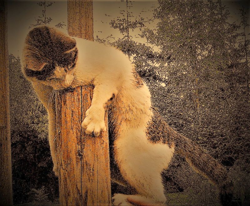 Pławna lipiec 2011 097