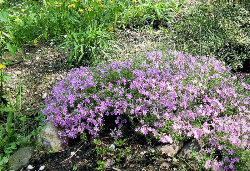 ,wiosna 2012,ferie,adam 046