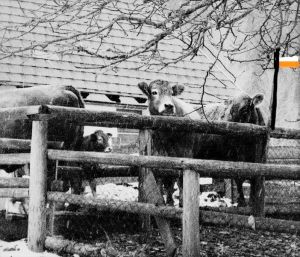 InkedFerie_01_09 037_LI