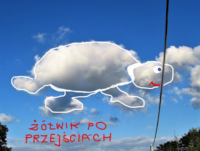 InkedIMG_9996_LI
