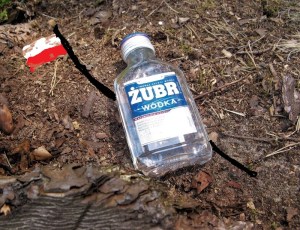 ŻUBR
