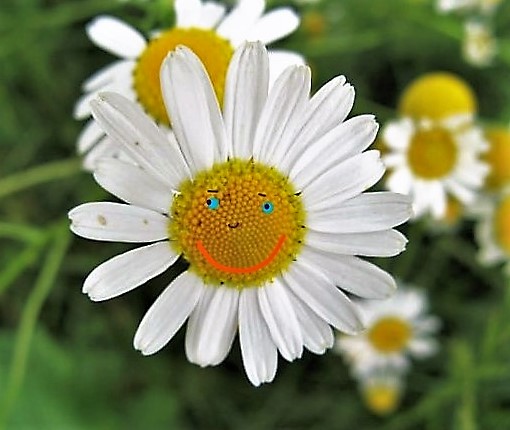 InkedIMG_0171_LI