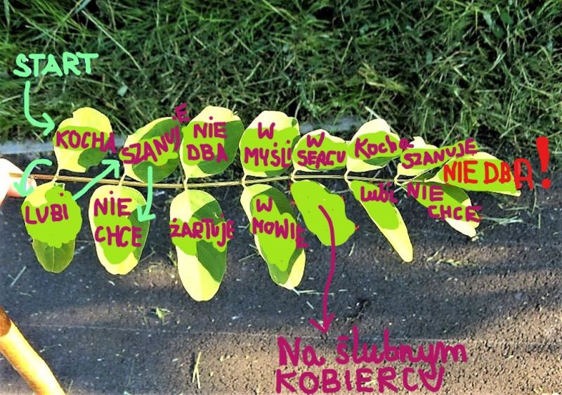 InkedInkedIMG_0052_LI