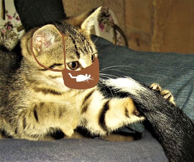 InkedPławna_09_08_Kry 093_LI