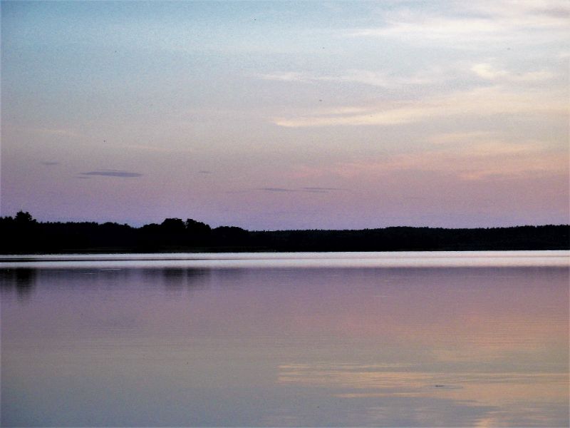 Przymuszewo 2015 135