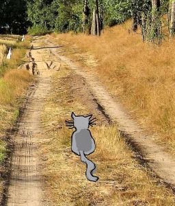 InkedInked2013 przym. 114_LI