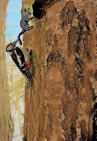 InkedInkedzima 2013 001_LI