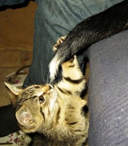 Pławna_09_08_Kry 093