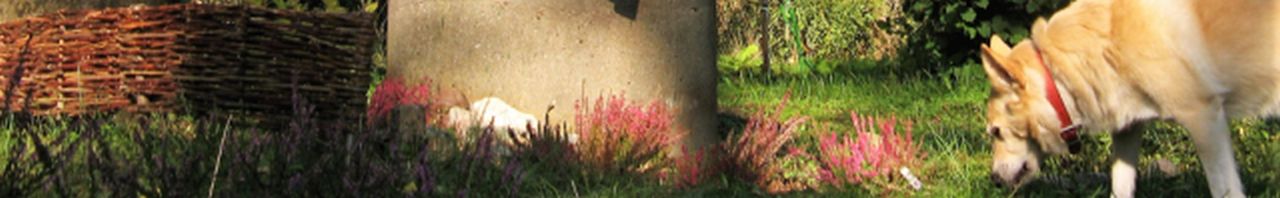 documnts and Setting Moje dokumenty zdjęcia 2015 WPK 2015 009