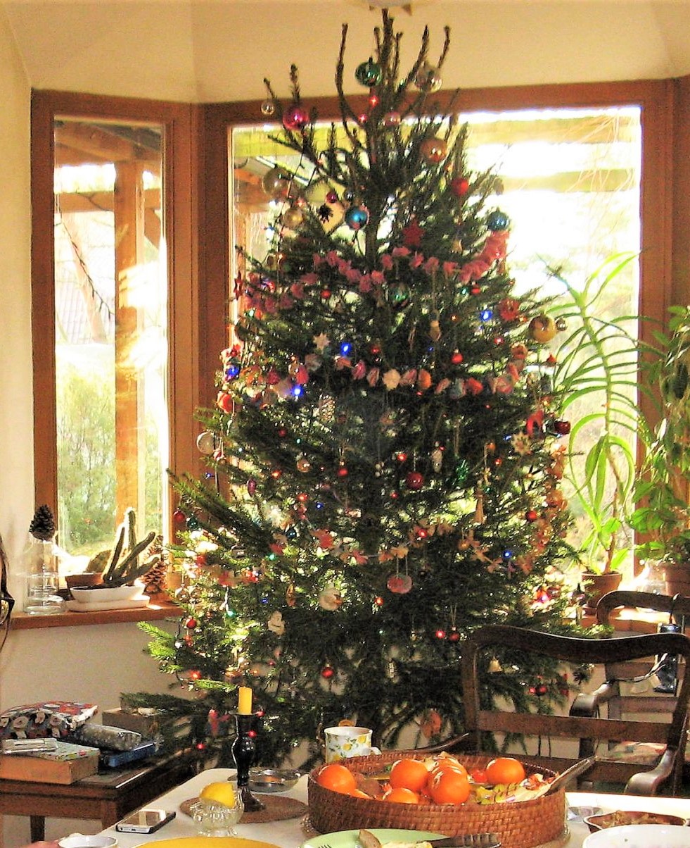 documnts and Setting Moje dokumenty zdjęcia 2015 WPK 2015 107