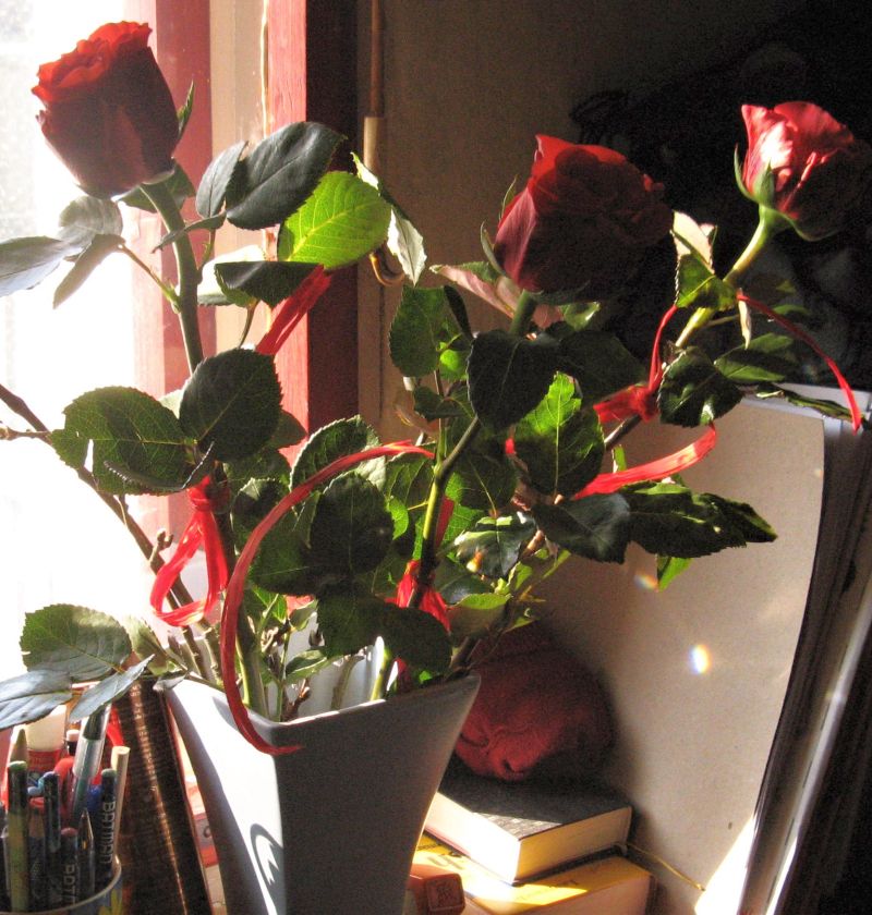 Pławna ferie 2011 071