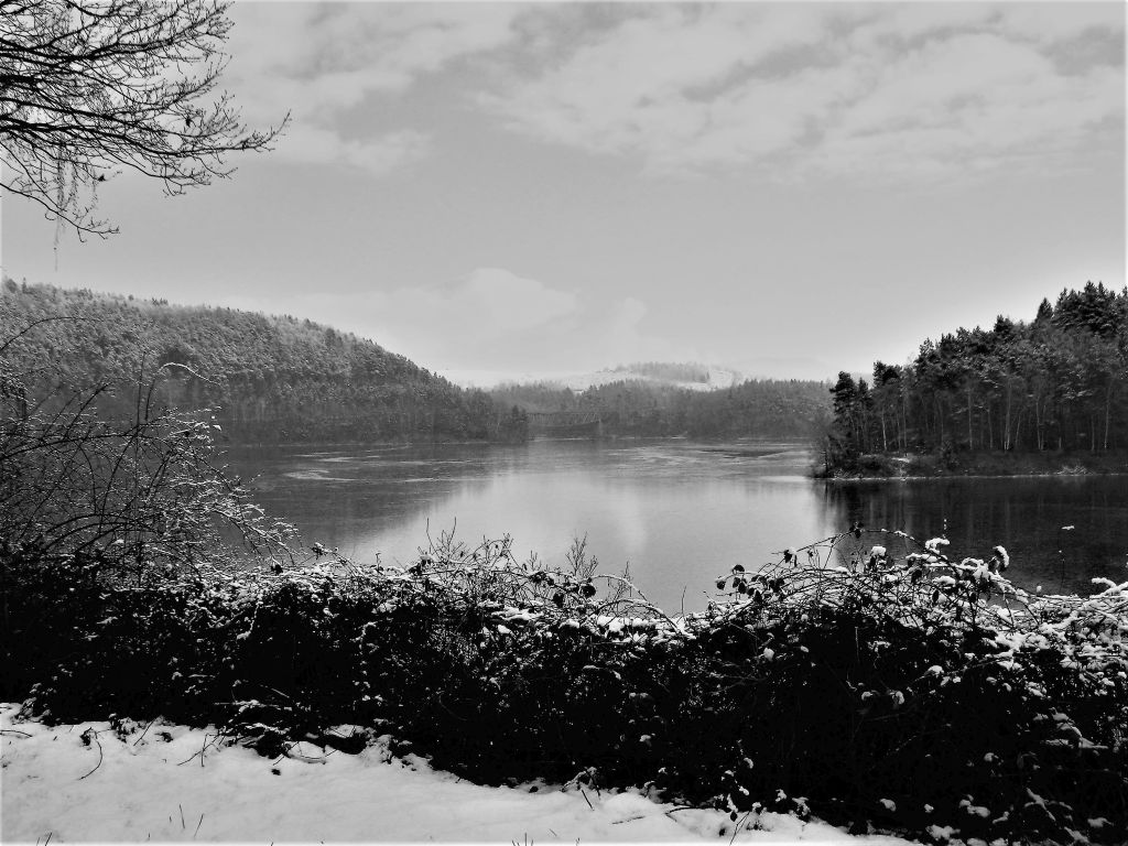 Głosków grudz.2011 070