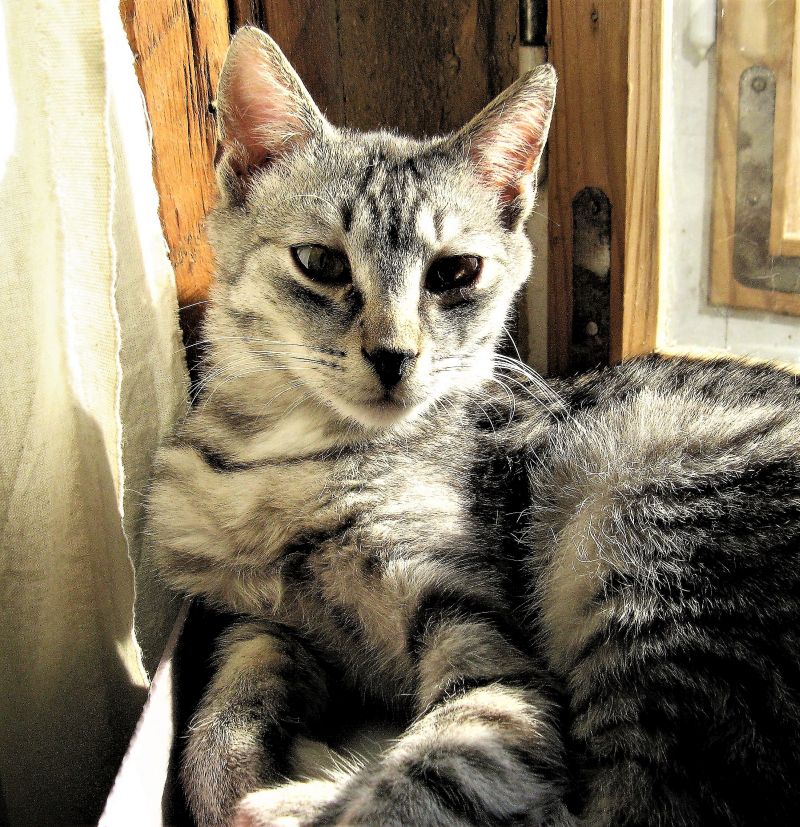 Pławna ferie 2011 064