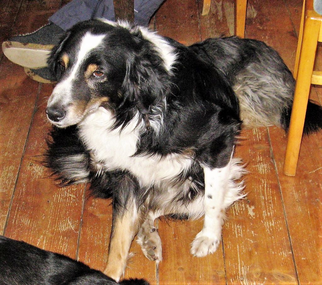 Pławna ferie 2011 076