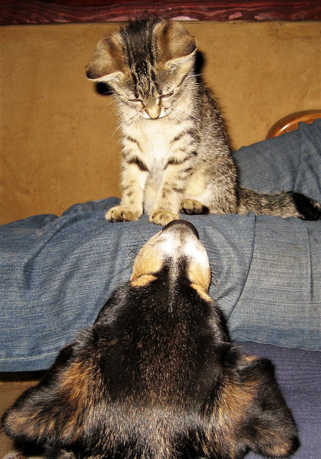 Pławna_09_08_Kry 089