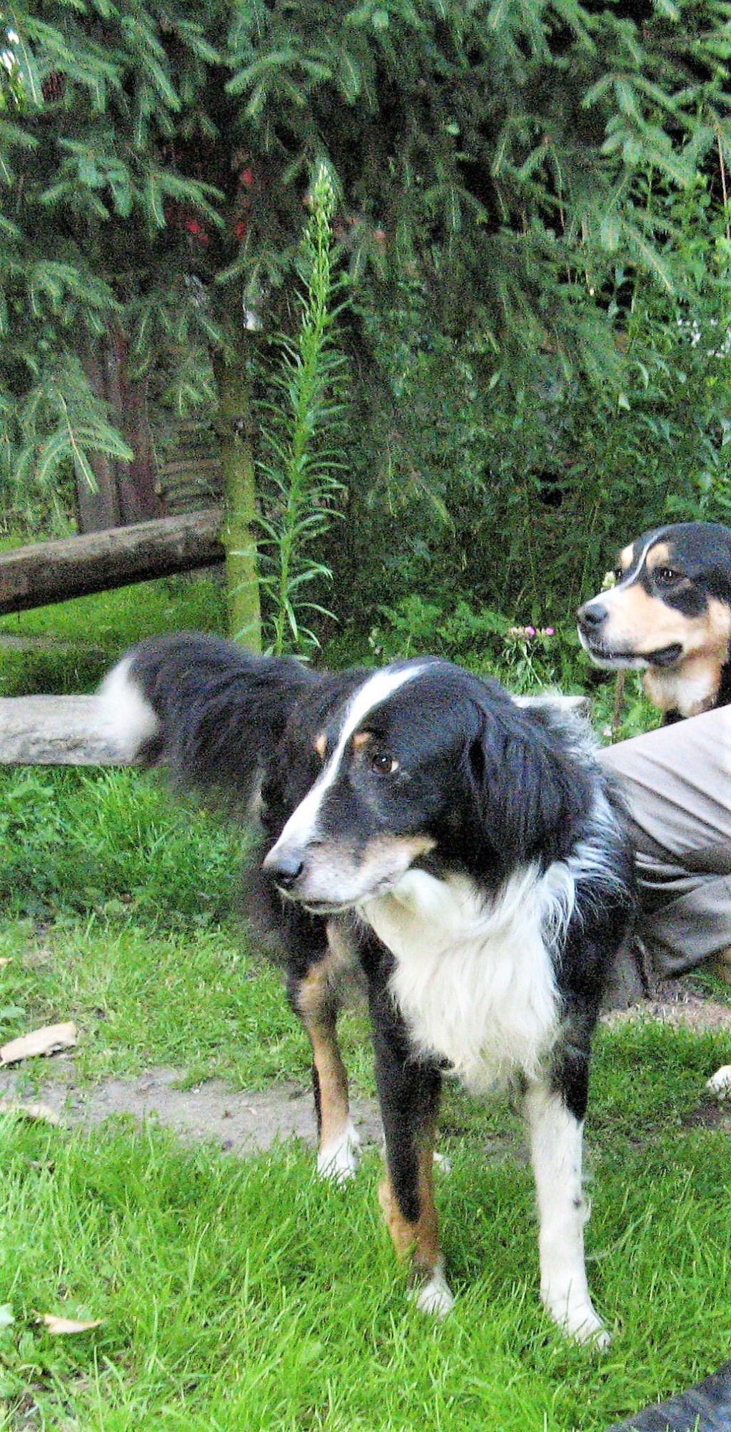 ,wiosna 2012,ferie,adam 140